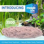 Fish Tank Rocks for Enhancing Water Clarity with Your Regular Cleaning Routine, Fish Friendly Aquarium Rocks, All Natural Aquarium Decor - Large - Covers Upto 3500 Gallons