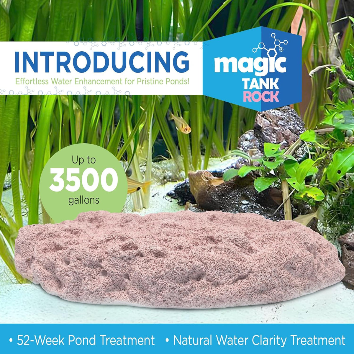 Fish Tank Rocks for Enhancing Water Clarity with Your Regular Cleaning Routine, Fish Friendly Aquarium Rocks, All Natural Aquarium Decor - Large - Covers Upto 3500 Gallons