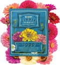 Zinnia Flower ~ 3000 Seeds California Giant Mix & Lilliput Semi-Dwarf Mix – Heirloom, Non-GMO Annuals – Colorful Blooms for Pollinators & Cut Flowers – Easy to Grow, Heat & Drought Tolerant