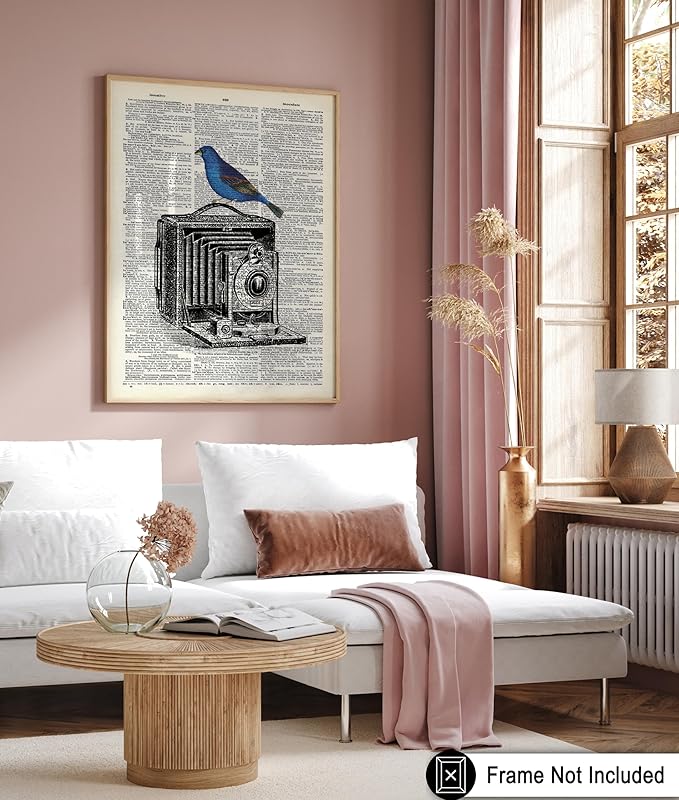Poster Master Dictionary Art Poster - Antique Camera Print - Bird Art - Photography Art - Gift for Men, Women & Photographer - Chic Decor for Living Room, Bedroom or Office - 11x14 UNFRAMED Wall Art