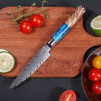 5 Inch Kitchen Utility Knife, Damascus Paring Knives,Japanese VG10 Steel Damascus Fruit Knife-Ergonomic Blue Resin Handle Ideal Birthday Gift for Men and Women