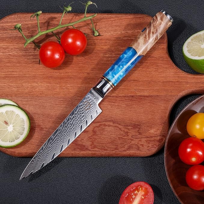 5 Inch Kitchen Utility Knife, Damascus Paring Knives,Japanese VG10 Steel Damascus Fruit Knife-Ergonomic Blue Resin Handle Ideal Birthday Gift for Men and Women