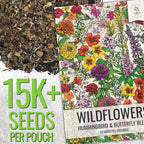 Seed Needs Wildflower Seeds Hummingbird and Butterfly Seed Mix | 10 Packs (1 Ounce Each) No Filler 23 Varieties Garden Seeds Annual & Perennial Species | Pollinator Attracting Flower Seed | Bulk