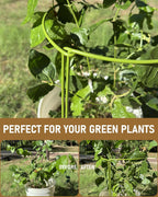10-Pack Heavy Duty Garden Plant Stakes, 4.2mm Steel Plant Supports for Tomato Cages, Monstera, Peonies - Indoor Outdoor Stakes for Potted Trees & Flowers, 10" W x 15.8" H (Mint Green)