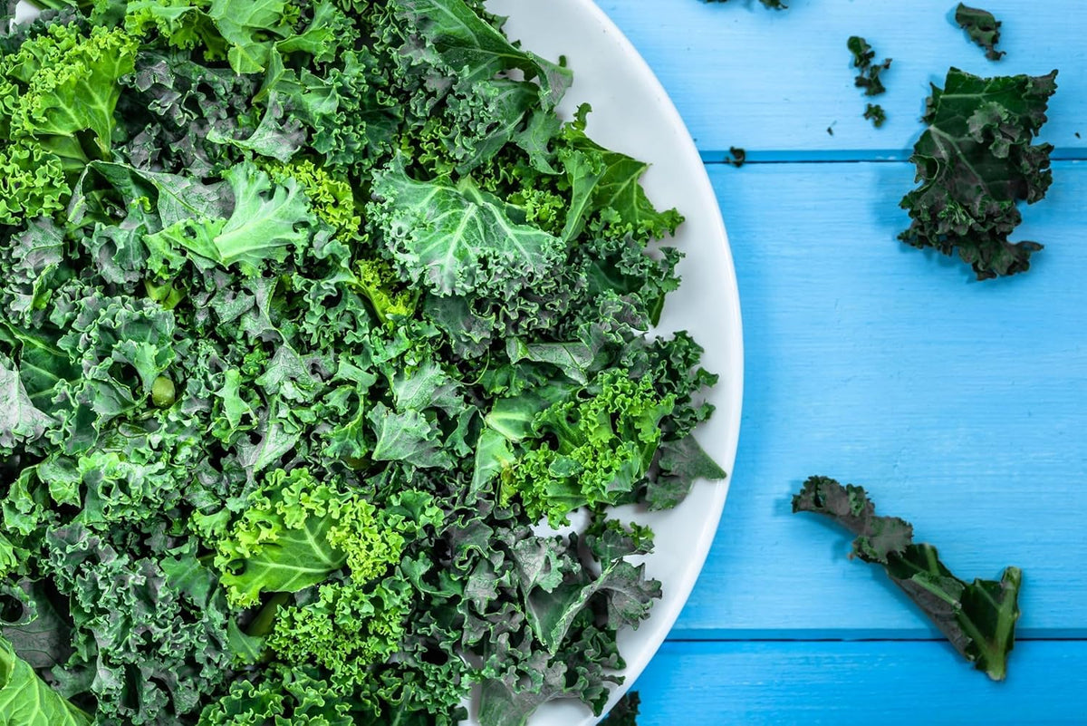 Curled Blue Kale Seeds for Planting – Plant & Grow Heirloom Non-GMO Curled Blue Vates Kale Home Outdoor Vegetable Garden, Brassica oleracea VAR. acephalla – 3 Packets