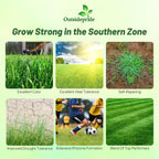 Outsidepride Combat Extreme Southern Zone Grass Seeds for Lawn - 25 lbs. SPF 30 Heat & Drought Tolerant Mix of Turf Type Fescue & Hybrid Bluegrass Seed with OptiGrowth Coating Enhanced Germination