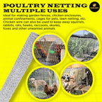 Chicken Wire 36 in x 200 FT x 2” Mesh x 20GA | Poultry Wire Netting | Hot Dipped Galvanized | Chicken Coop, Rabbit Cage, Fence Barrier (36 x 200 x 2)