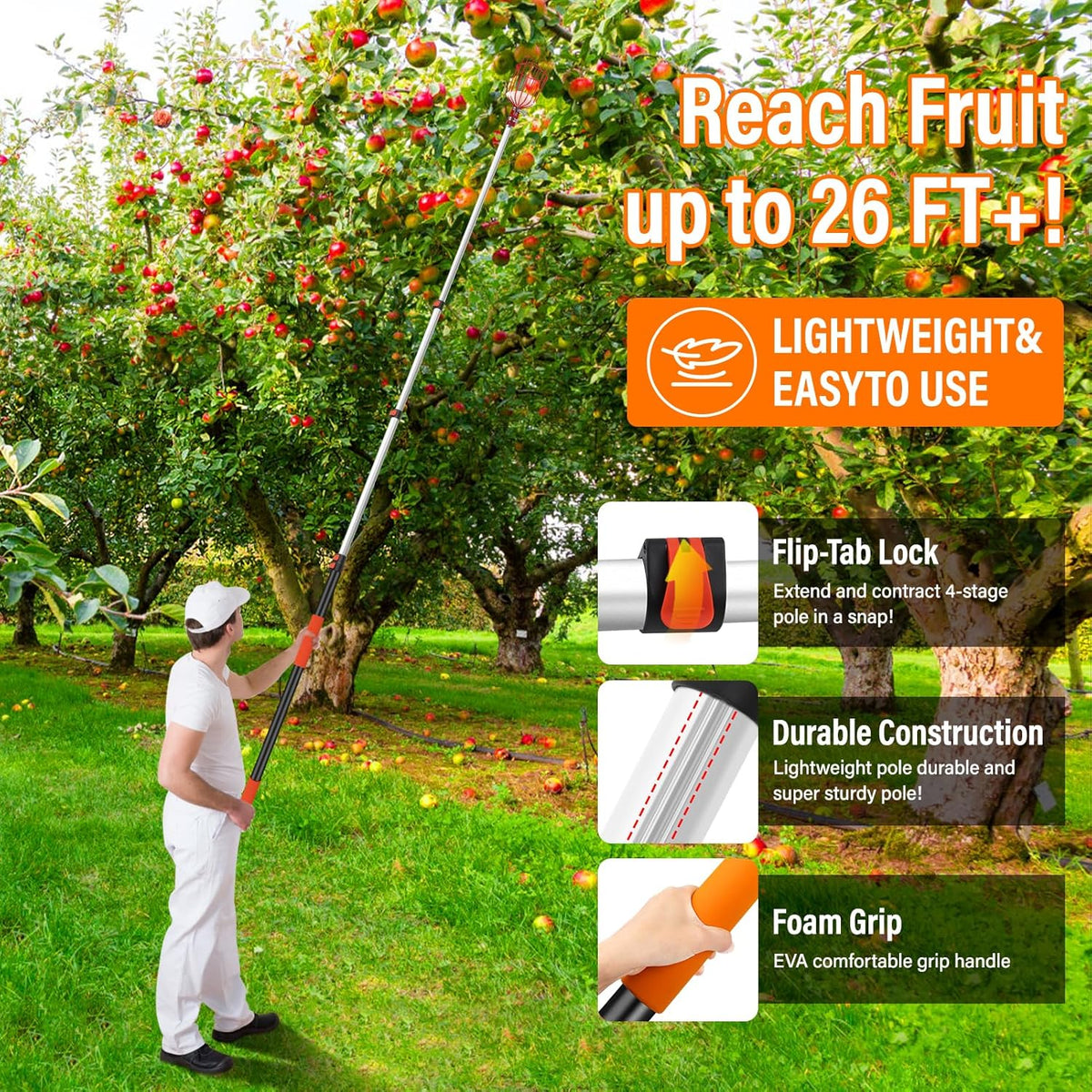 26FT Reach Fruit Picker Pole with Basket Telescoping,Apple Picker Pole with Basket,Lightweight Aluminum Pole Fruit Catcher for Trees,Orange Picker Suit for,Pear,Lemon,Mango,Guava,Avocados