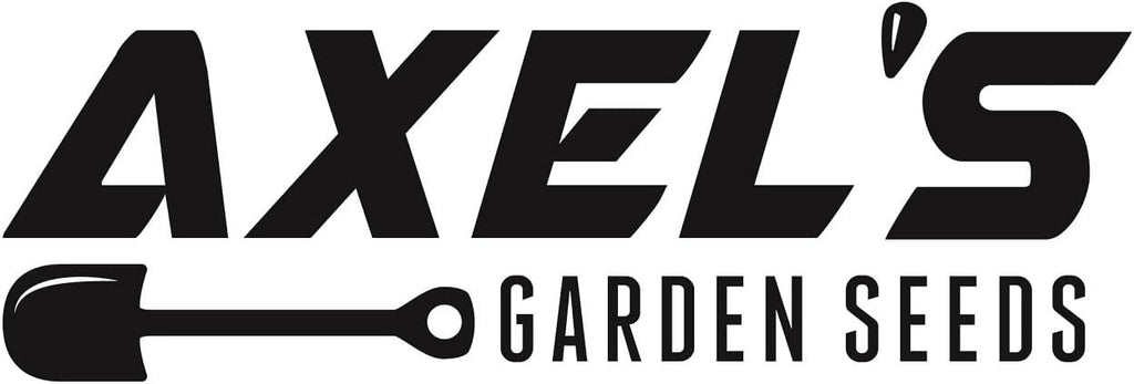 White Russian Kale Seeds for Planting – Plant & Grow Heirloom White Russian Kale in Home Outdoor Vegetable Garden, Brassica Napus – 5 Packets