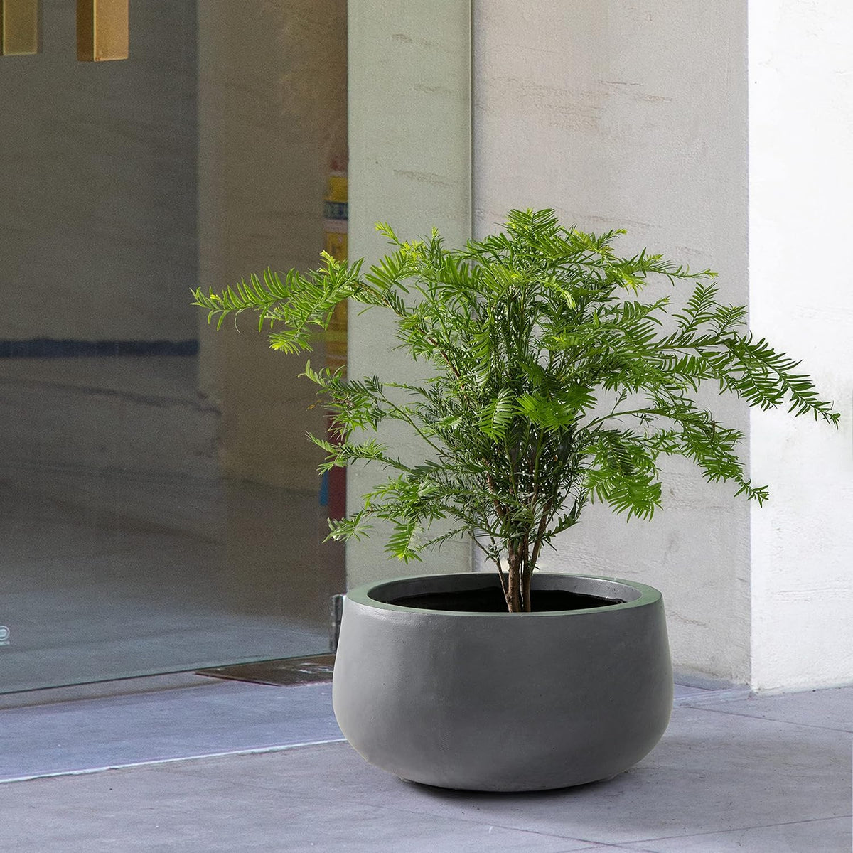 Kante 15.7" Dia Round Concrete Planter, Cement Plant Pots with Drainage Hole and Rubber Plug for Outdoor Indoor Garden Home, Modern Curvaceous Design, Dark Gray