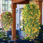6 Pcs Artificial Fall Hanging Flowers Outdoor Silk Mum Plants Autumn Decor Faux Violet with Eucalyptus Realistic UV Resistant Trailing Vine Thanksgiving Porch Yard(Classic Color,Violet)