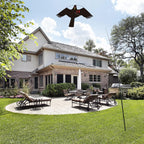Bird Hawk Flying Kite Without Pole for Crops Farm Protector Bird Scarer Flying Kites - Style C Kite Without Pole