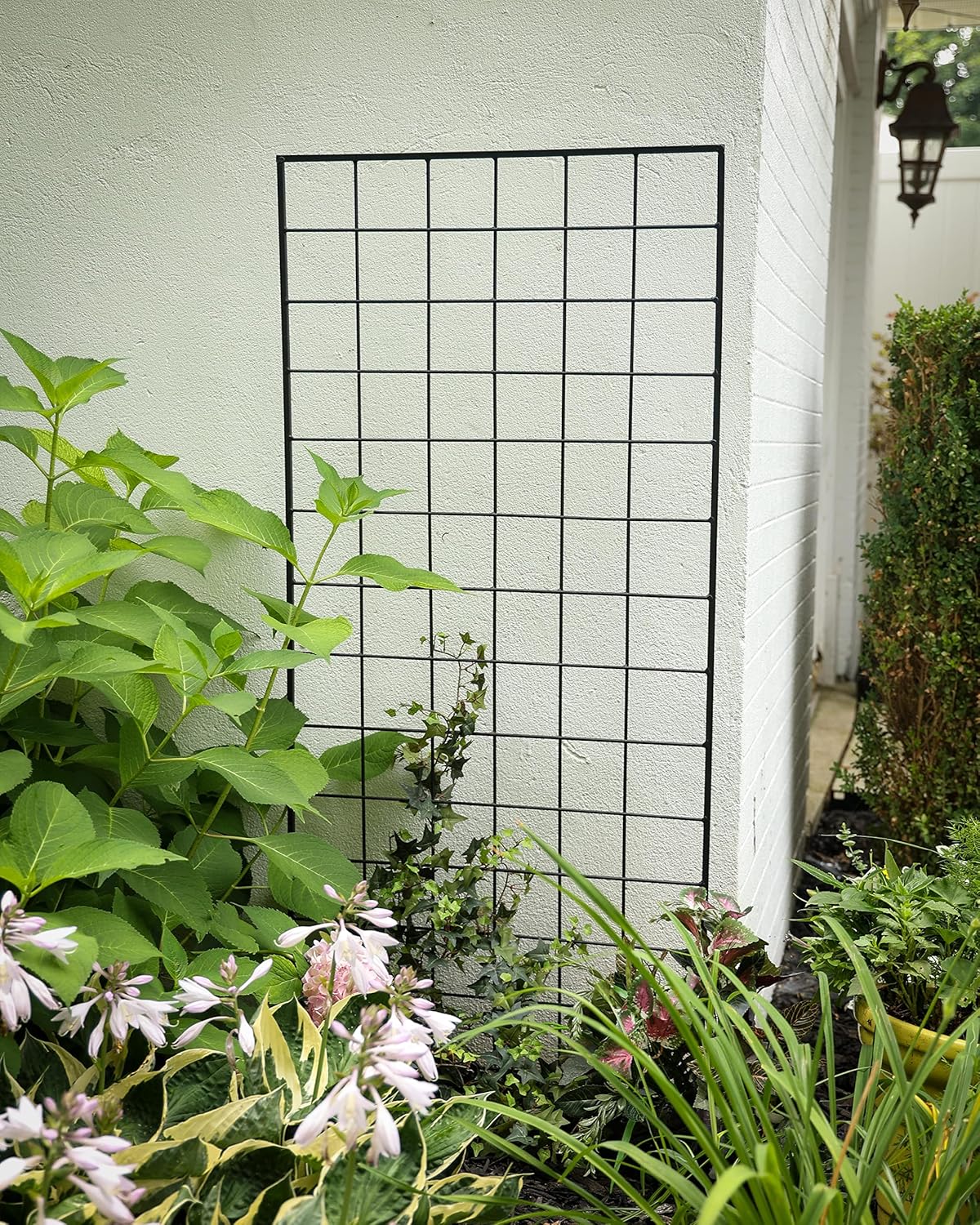 American Garden Works STNMB Narrow Screen Trellis, Black 64.25"H