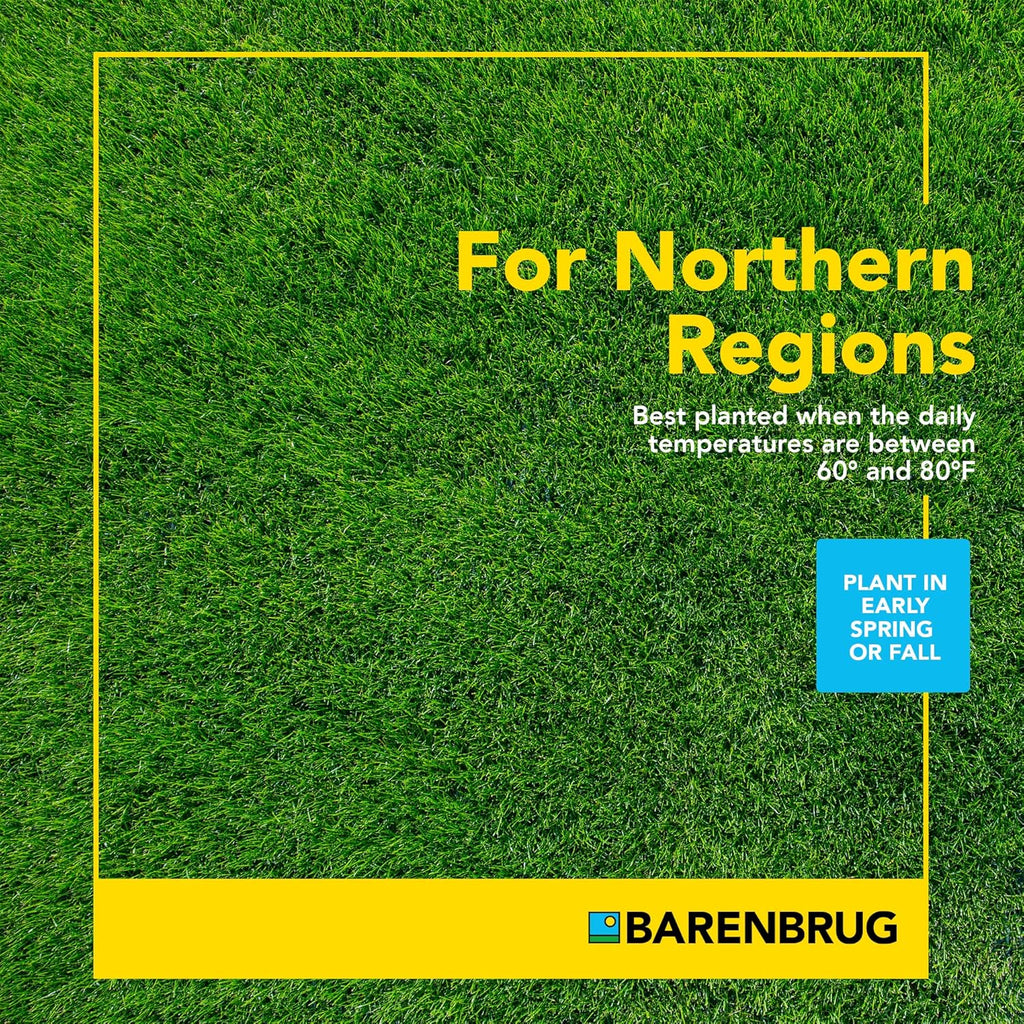 Barenbrug Wonderlawn Quicklawn Grass Seed Mix for Lawn Care and Landscaping, 10 lbs. Bag
