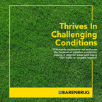 Barenbrug Winter Wonderlawn Grass Seed for Southern Lawns, Fast-Acting Durable Grass Seed Mix for All Weather Conditions, 25-lb. Bag