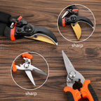 5 pack Garden Pruning Shears Stainless Steel Blades, Handheld Scissors Set with Gardening Gloves,Heavy Duty Garden Bypass Pruning Shears,Tree Trimmers Secateurs, Hand Pruner (Classic)