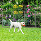 FXW Garden Fence Outdoor for The Yard – 40in(H) x 54.7ft(L) Heavy Duty Metal Animal Barrier for Dog and Rabbit, Decorative Dog Fence, 24 Panels, Silver